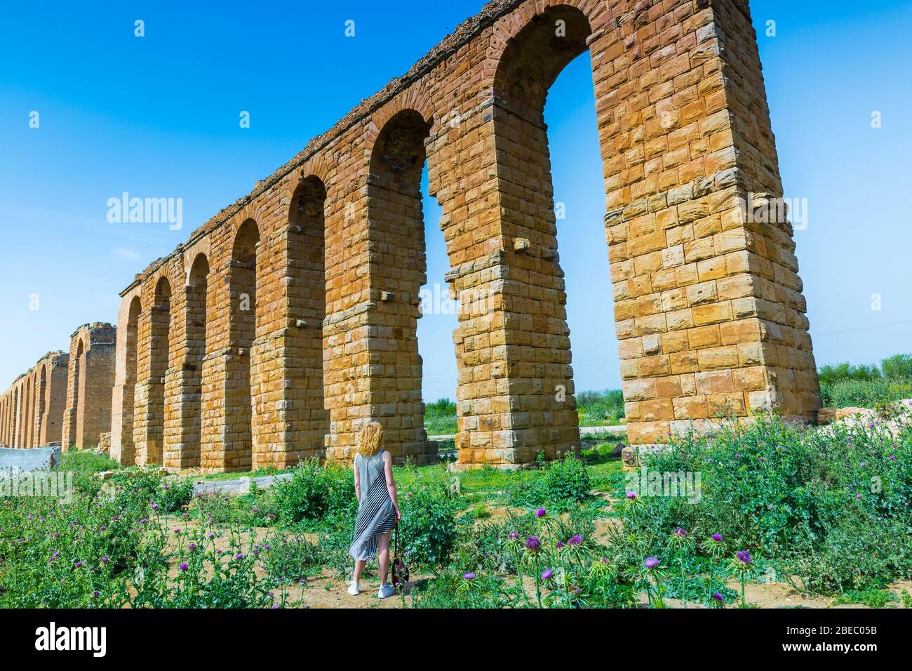 Acquedotto romano. Foto Stock