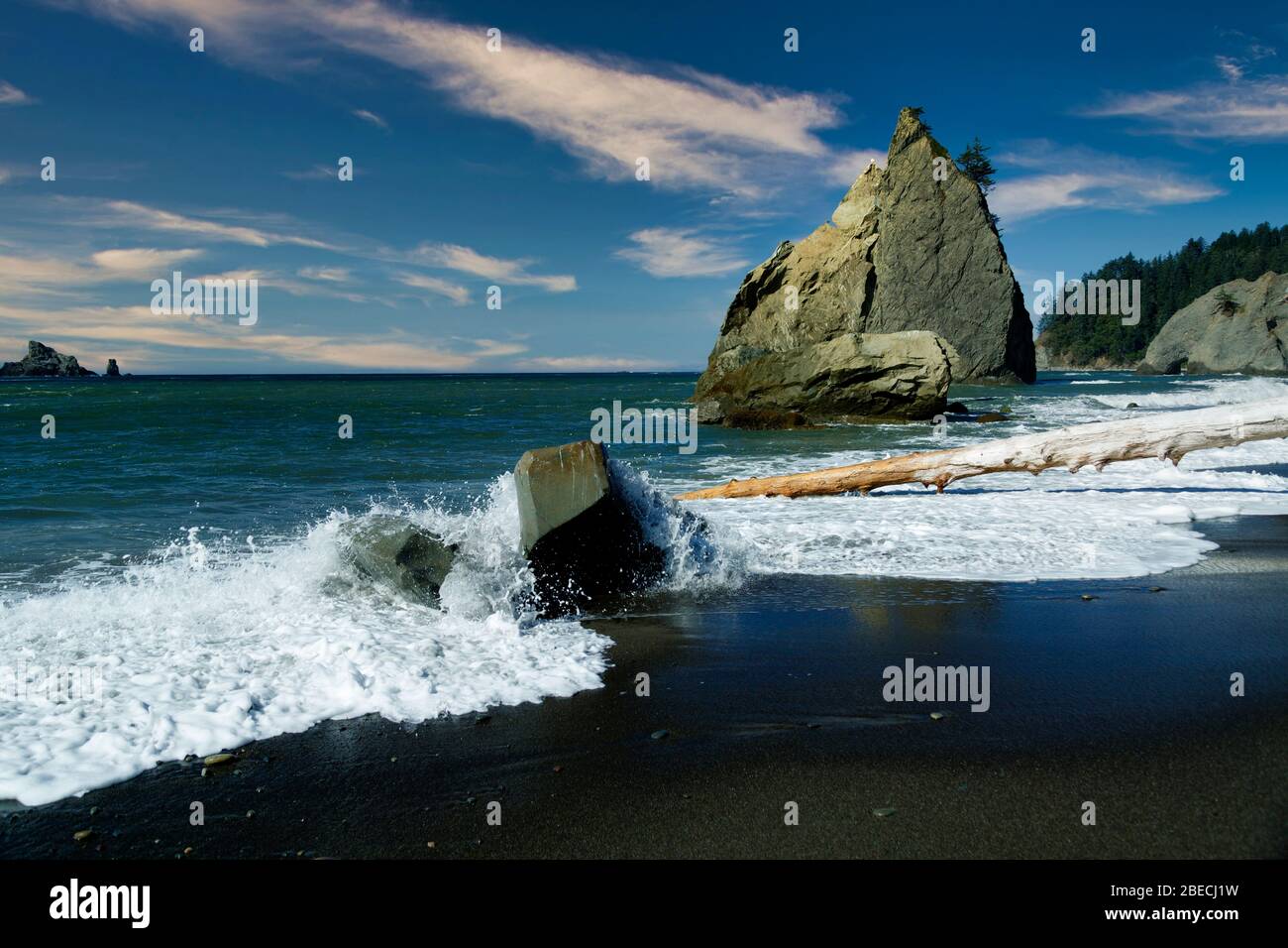 Spiaggia di Rialto. La spingere Washington USA il parco nazionale di Olympic Foto Stock