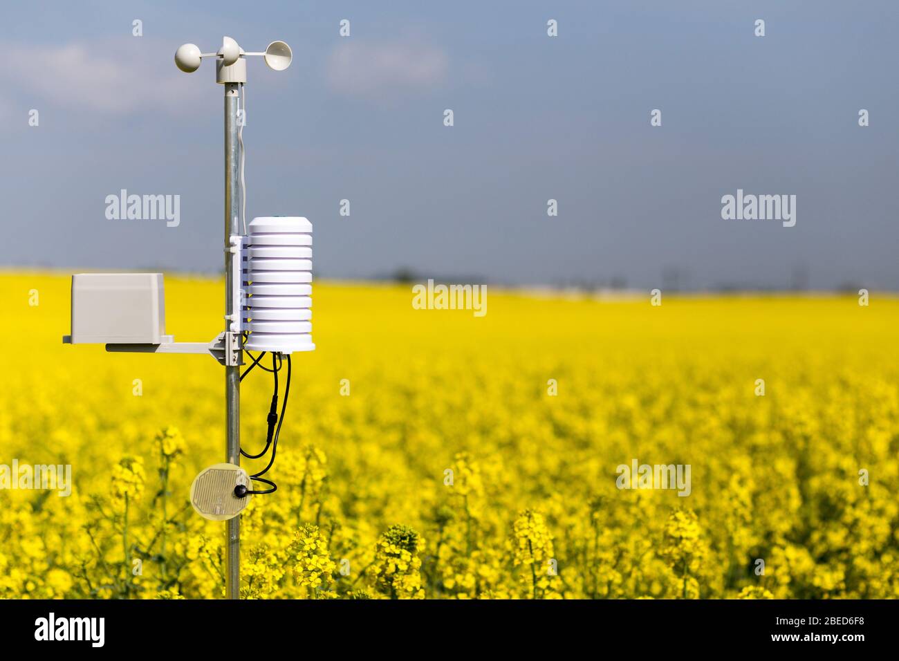 Agricoltura intelligente e tecnologia agricola intelligente. Stazione di Weatherstation con anemometro, strumento meteorologico utilizzato per misurare la velocità del vento e Th Foto Stock