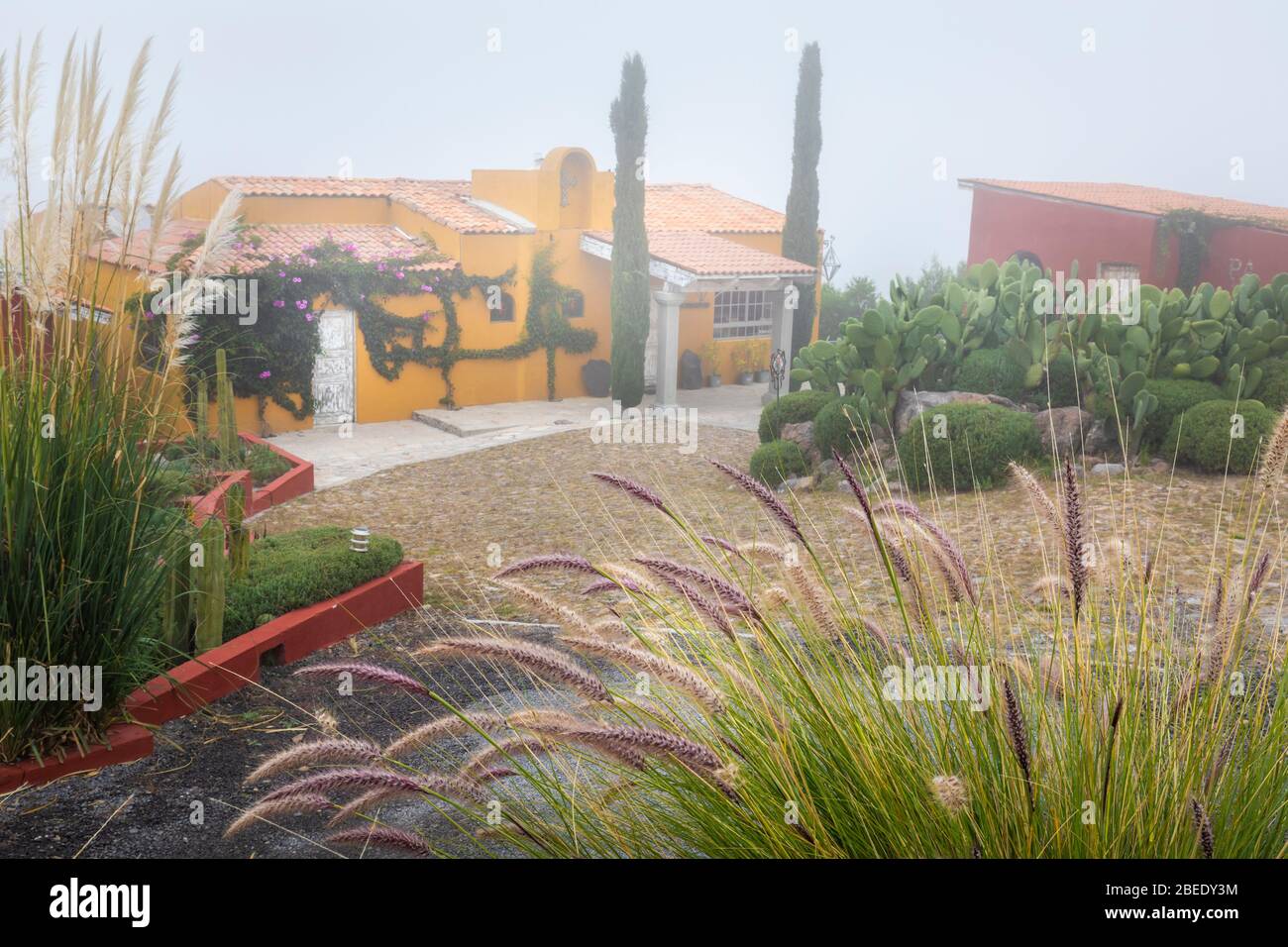 Casa coloniale a San Miguel de Allende, Messico in una mattinata nebbia. Foto Stock