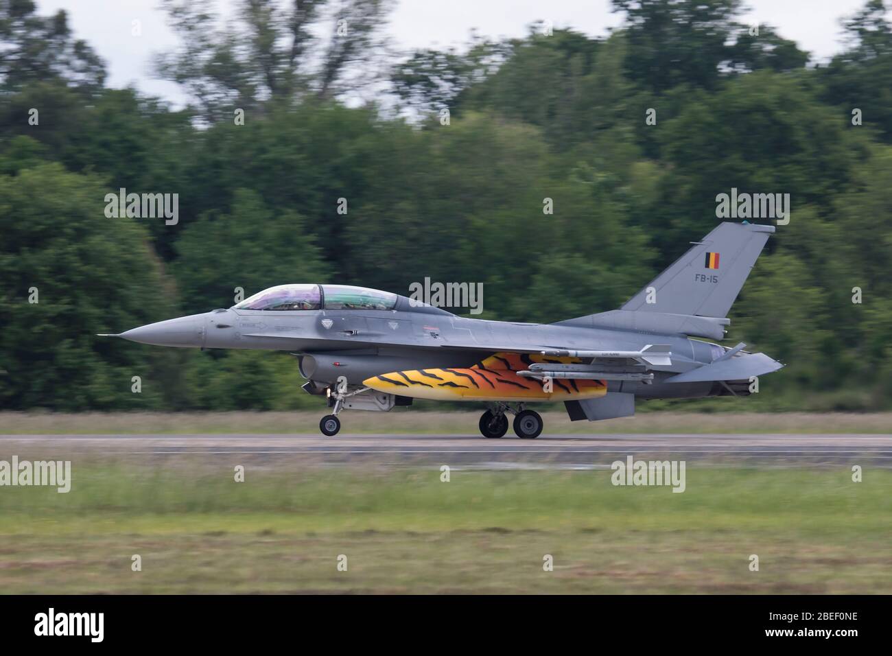 Il belga Air Component General Dynamics F-16BM alla NATO Tiger incontra 2019 alla base francese dell'aeronautica Mont de Marsan BA118 Foto Stock