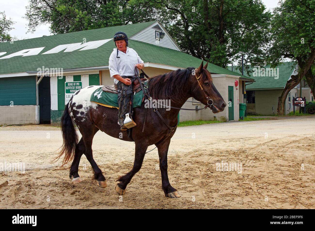 Donna cavallo da equitazione, tuta, movimento, 2 gambe di cavallo in movimento, sporcizia, lavoro, casco protettivo, casa del Kentucky Derby, pista Churchill Downs; K. Foto Stock