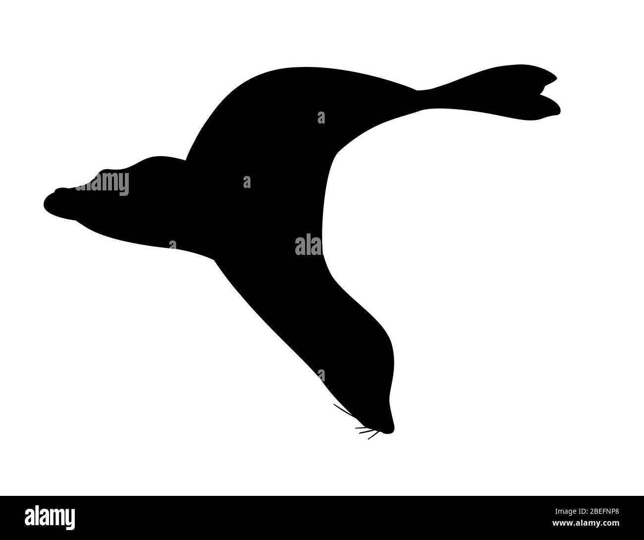 Nero silhouette cute sigillo cartone animato animale disegno piatto vettore illustrazione isolato su sfondo bianco Illustrazione Vettoriale