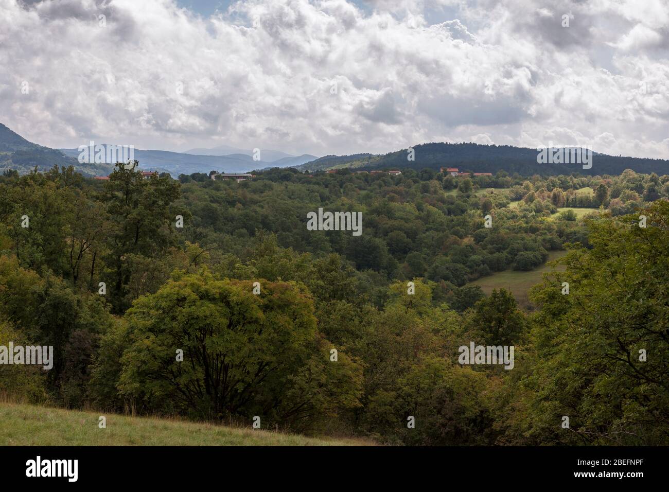 Campagna vicino a Štanjel, regione Obalno-kraška, Slovenia Foto Stock