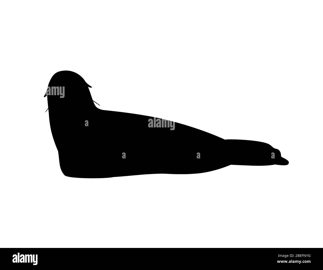 Nero silhouette cute sigillo cartone animato animale disegno piatto vettore illustrazione isolato su sfondo bianco Illustrazione Vettoriale