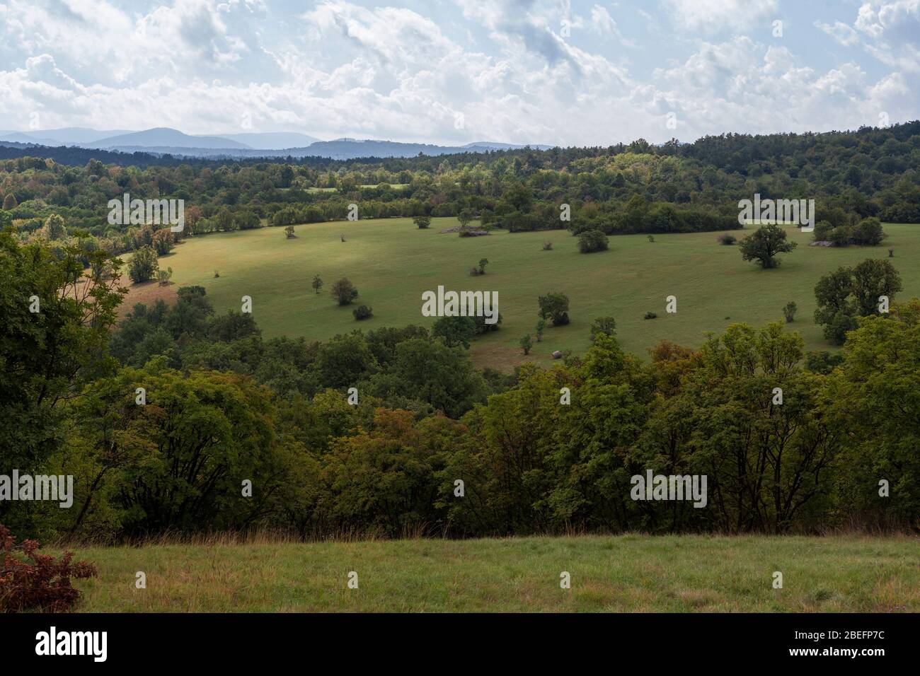 Campagna vicino a Štanjel, regione Obalno-kraška, Slovenia Foto Stock
