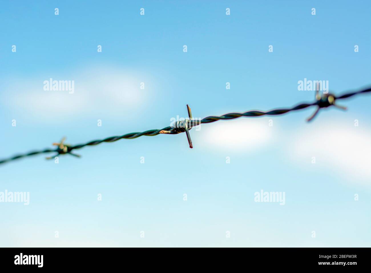 Chiudere il filo spinato contro il cielo blu Foto Stock