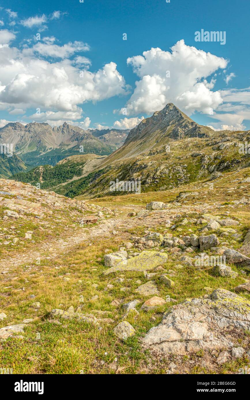 Paesaggio montano nella Valposchaivo visto dal Passo del Bernina, Grigioni, Svizzera Foto Stock