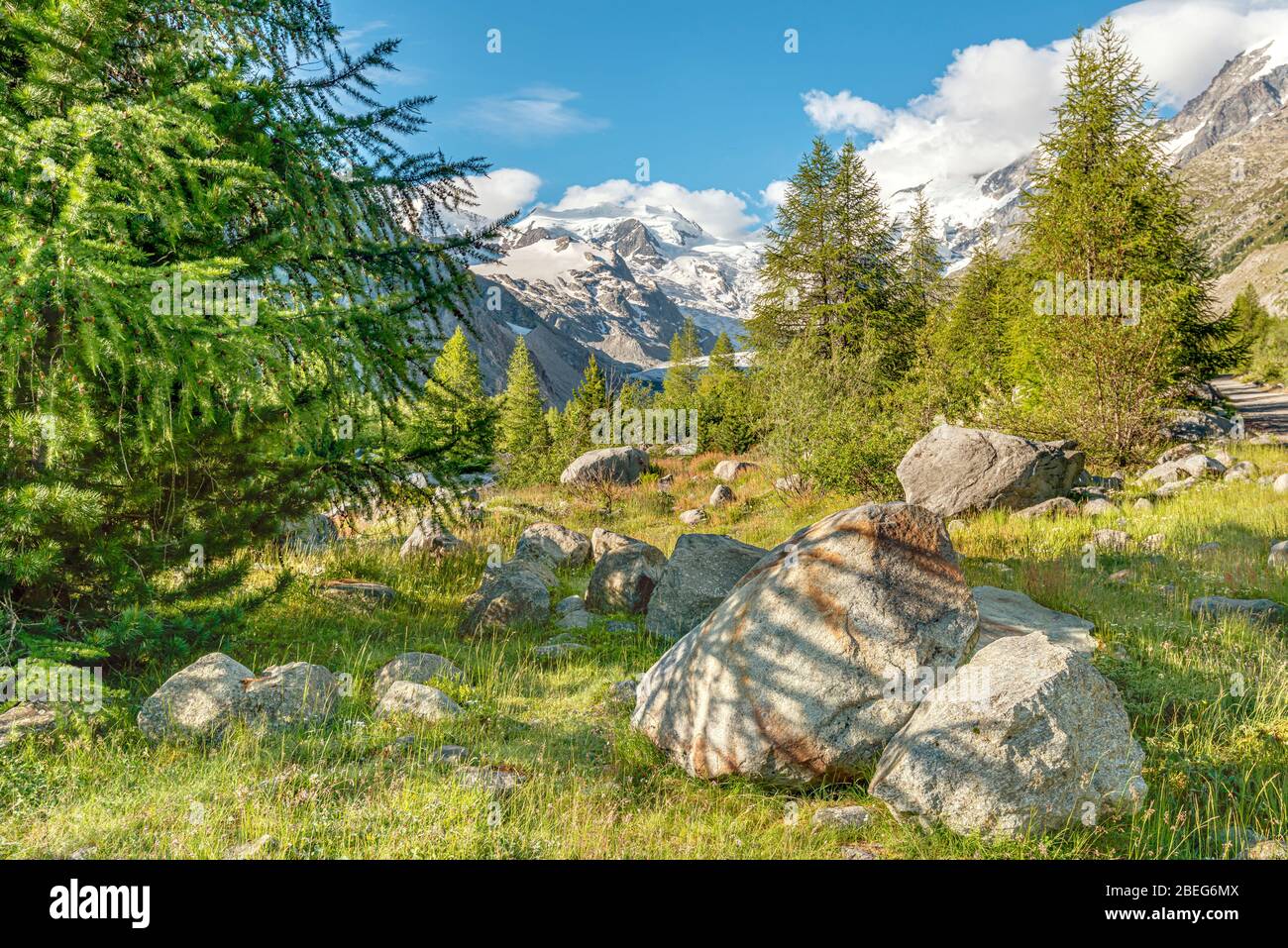 Paesaggio estivo al ghiacciaio del Morteratsch, Engadina, Svizzera Foto Stock