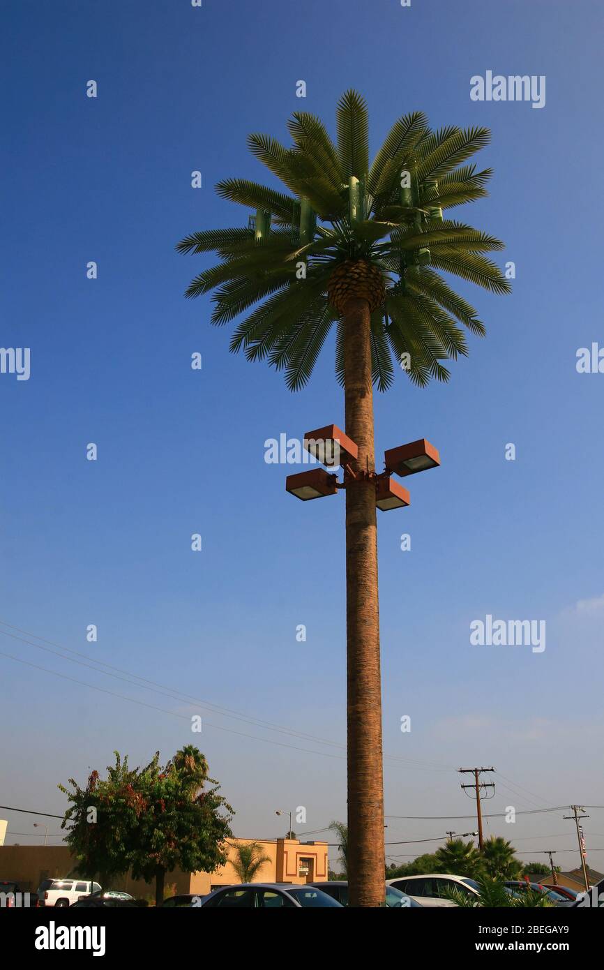 La torre delle cellule finge di essere una palma a Los Angeles, California Foto Stock