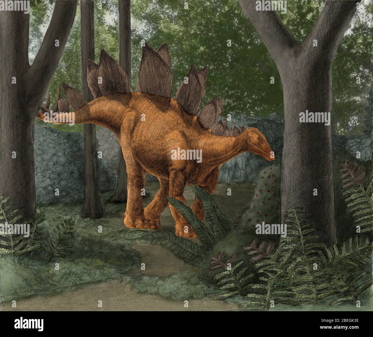 Stegosauro Foto Stock