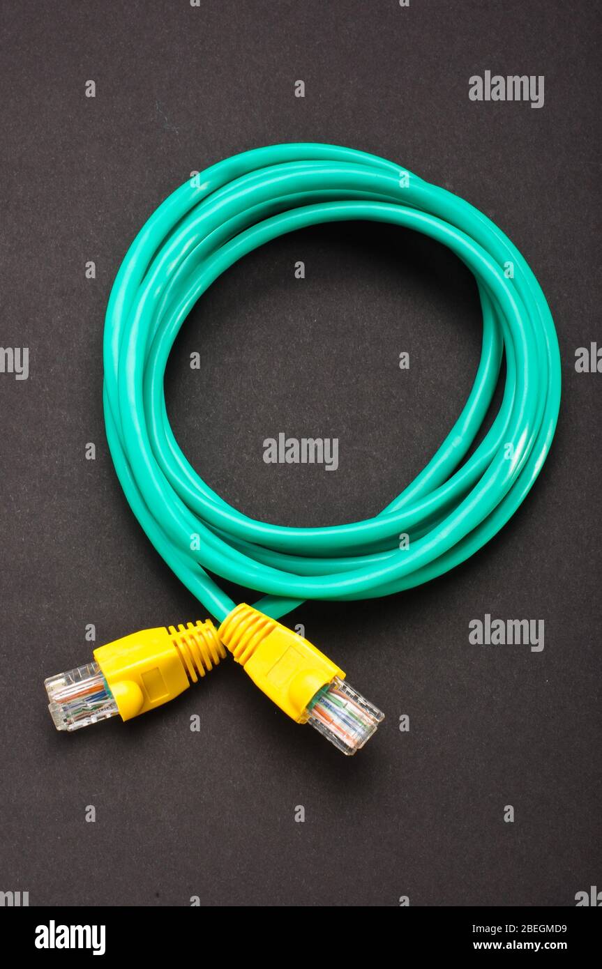Cavo LAN Internet di colore verde per la connessione a Internet Foto Stock
