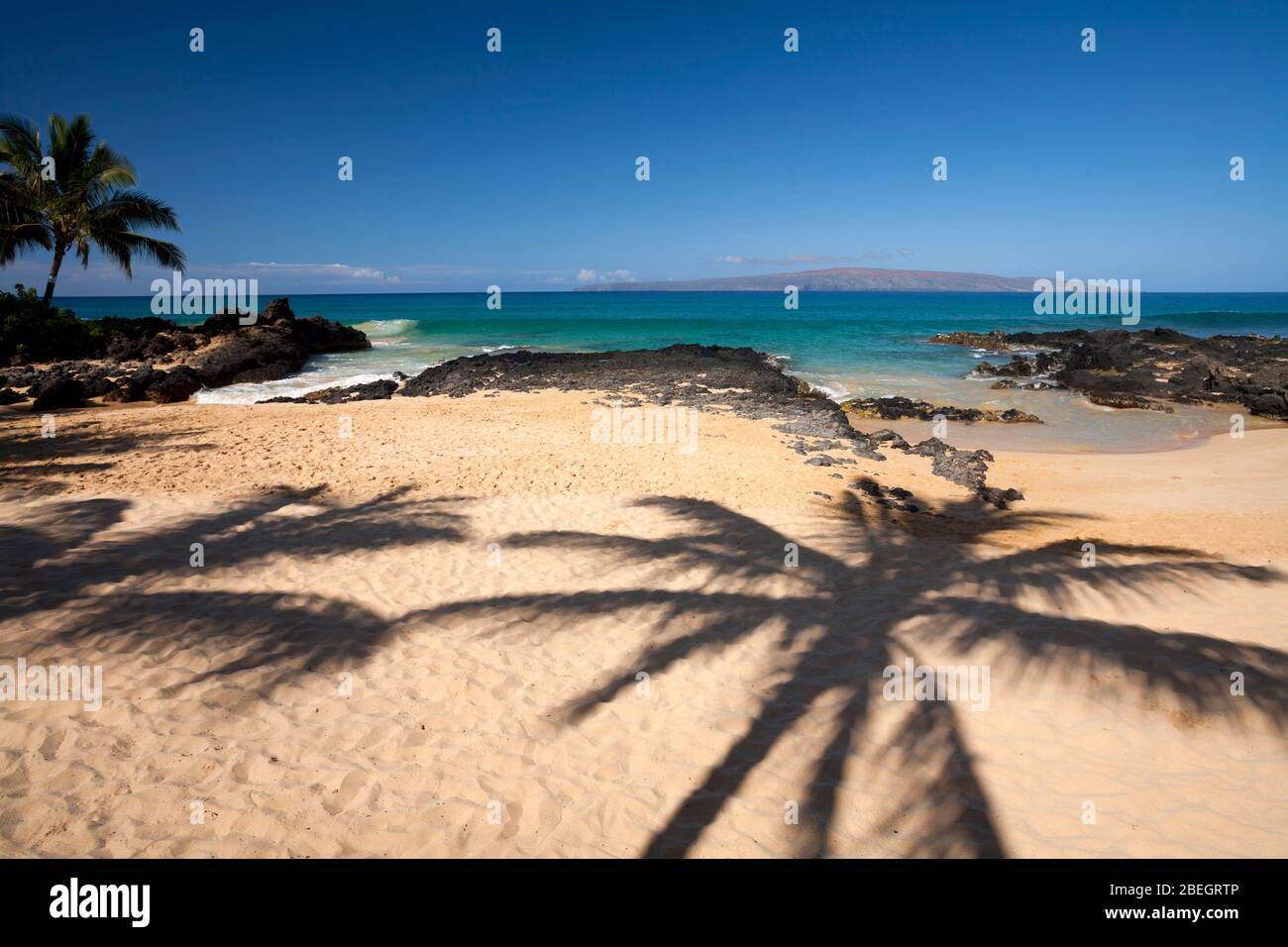 Palm Tree Shadows a Makena Cove, Makena, Maui, Hawaii. Foto Stock