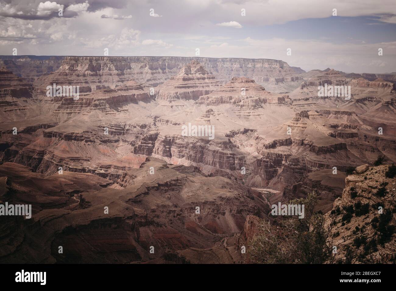 Ambiente del Grand Canyon in estate Foto Stock