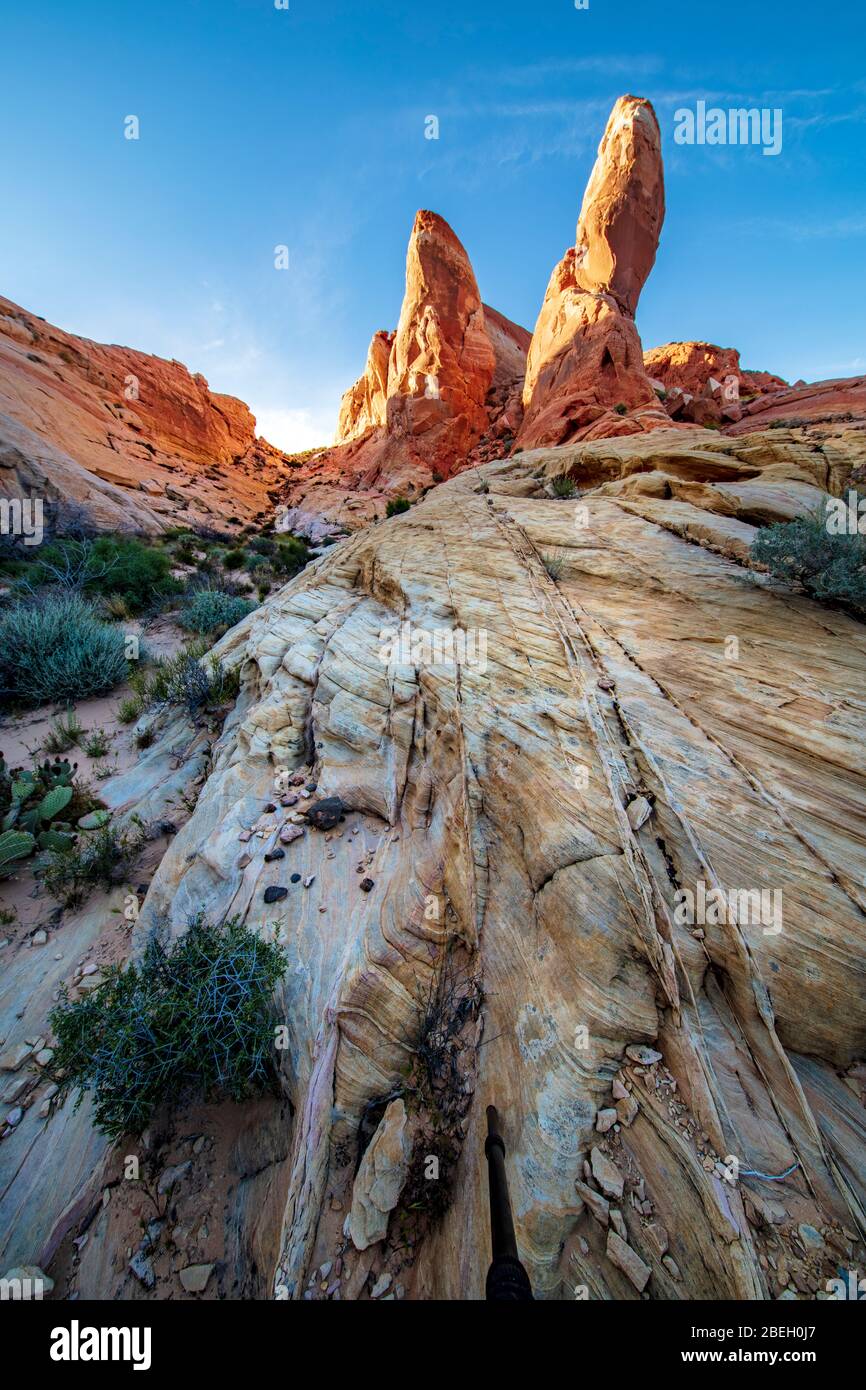 La Valle del Fuoco del parco statale, Nevada Foto Stock