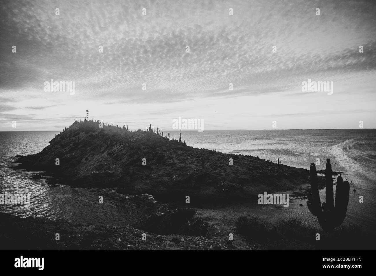 tramonto. El Choyudo spiaggia, sonora Messico, Golfo della California, ecosistema molto simile. Golfo del mare della California come parte dell'Oceano Pacifico ... (Foto: LuisGutierrez/ NortePhoto.com). playa el Choyudo con atardecer de nubes y cielo azul en sonora México, golfo de California, ecosistima muy simili. Mar del golfo de California como parte del Océano Pacífico.. Foto Stock
