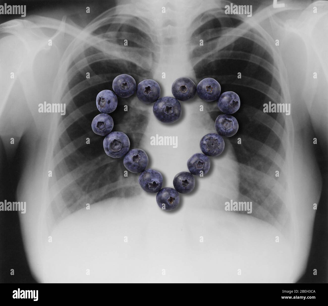 Mirtilli, cuore sano alimentare Foto Stock