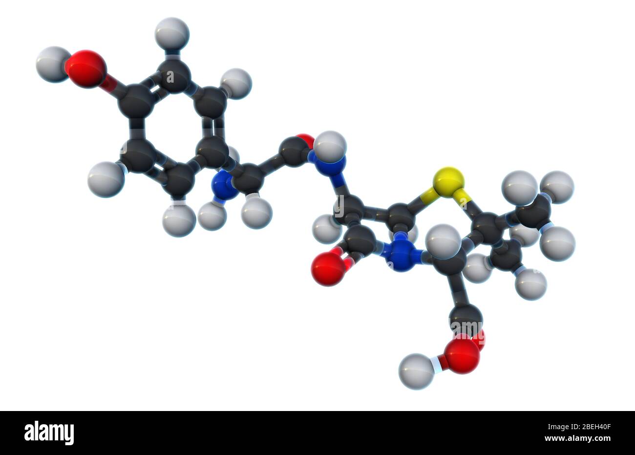 Un modello molecolare di amoxicillina, un antibiotico usato per trattare infezioni batteriche come la gola della gola della gola di trep, infezioni del tratto urinario, salmonella, polmonite e malattia di lyme. L'amoxicillina è facilmente assorbita dall'organismo, rendendola uno degli antibiotici più comuni prescritti ai pazienti, e funziona inibendo la sintesi delle pareti cellulari batteriche. Gli atomi sono colorati in grigio scuro (carbonio), grigio chiaro (idrogeno), rosso (ossigeno), blu (azoto) e giallo (zolfo). Foto Stock