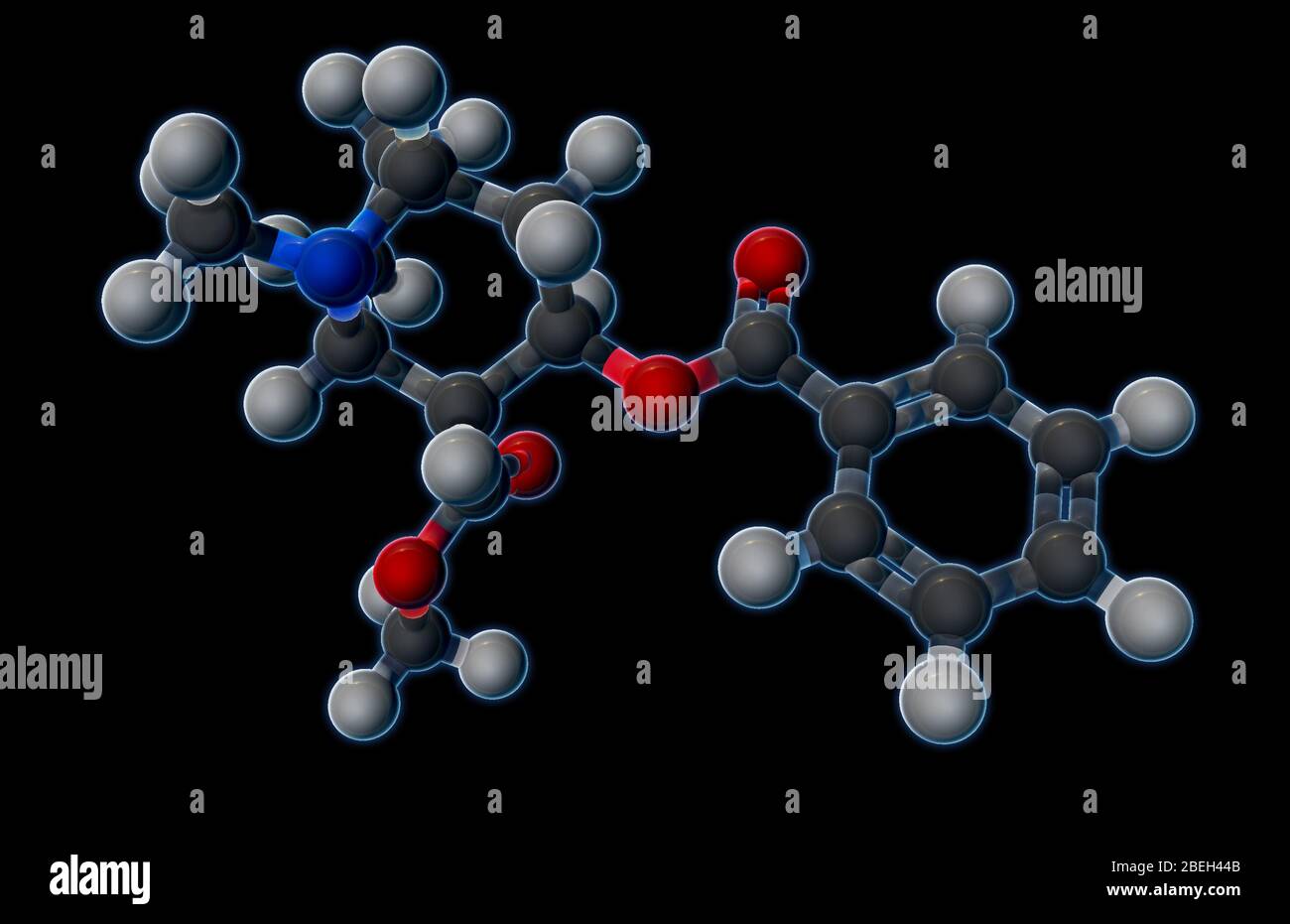 Un modello molecolare di cocaina (C17H21NO4), un farmaco stimolante e soppressore dell'appetito, ottenuto da foglie di piante di coca, che produce basse dosi di anestesia le proprietà di Cocaine le permettono di passare attraverso la barriera sangue-cervello più facilmente di altre sostanze chimiche psicoattive. La natura assuefante del farmaco rende più pericoloso di altri stimolanti, poiché dosi più elevate possono portare a morte cardiaca improvvisa. Gli atomi sono colorati in grigio scuro (carbonio), grigio chiaro (idrogeno), rosso (ossigeno) e blu (azoto). Foto Stock