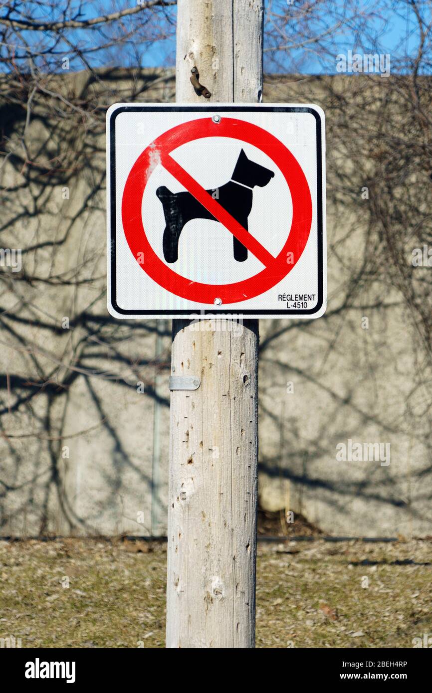 Cartello 'non sono ammessi cani', provincia del Quebec, Canada. Foto Stock