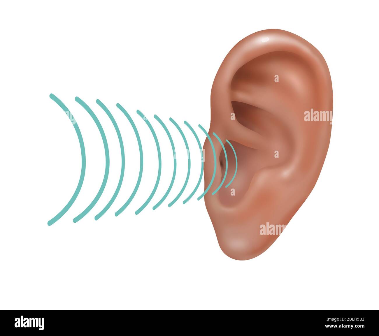 Suono che entra nell'orecchio umano esterno, illustrazione Foto Stock
