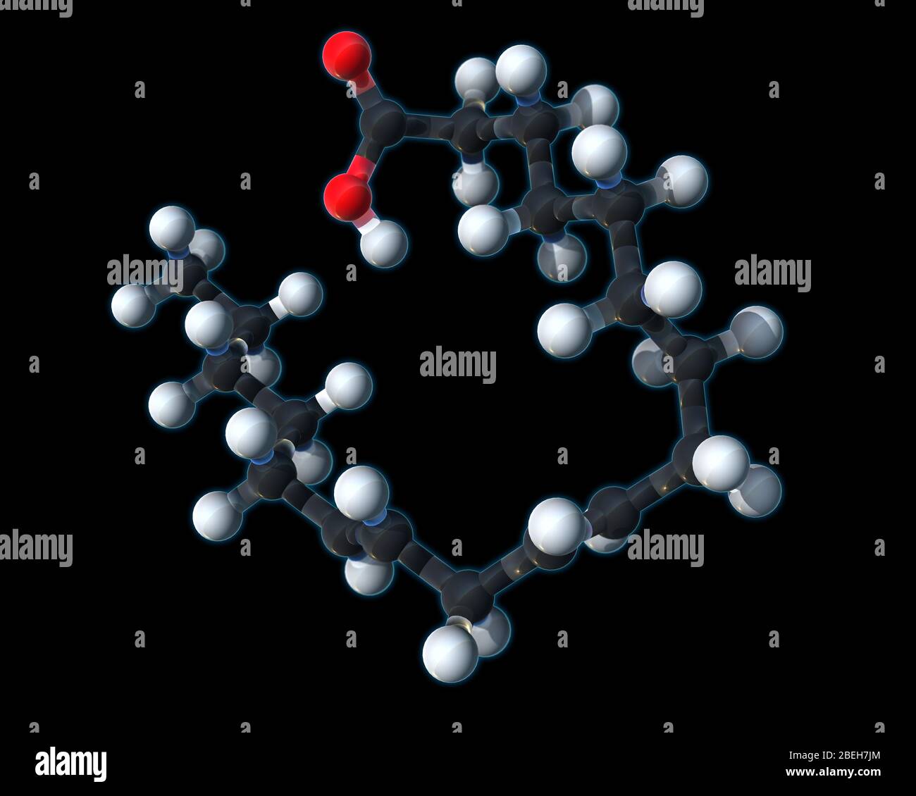 Acido linoleico, modello molecolare Foto Stock