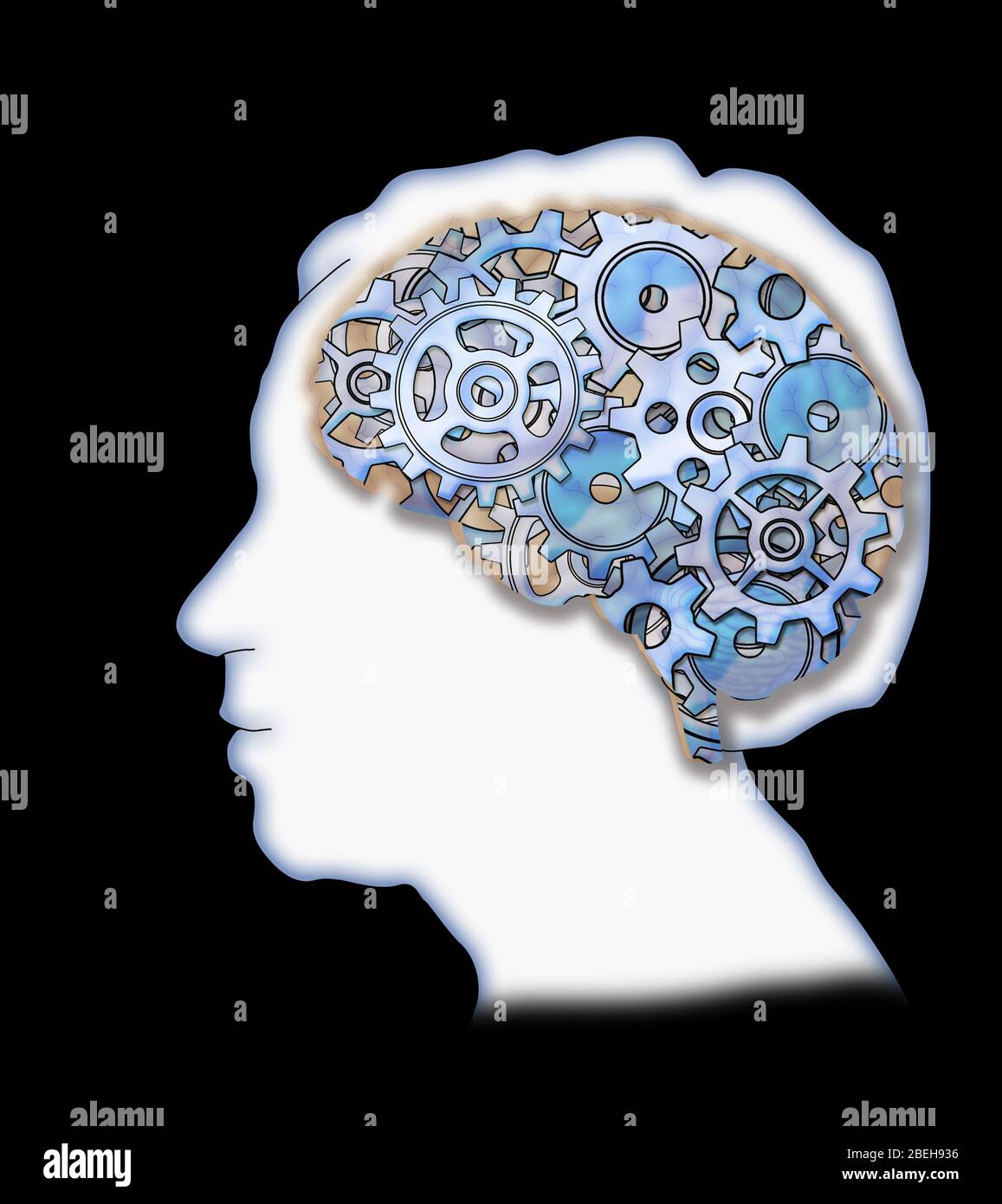 Cervello con i denti, concettuale Foto Stock