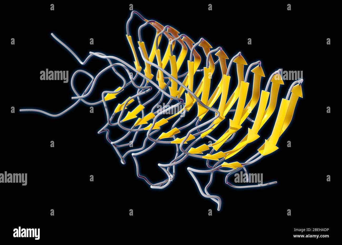 Prion Amyloide, modello molecolare Foto Stock