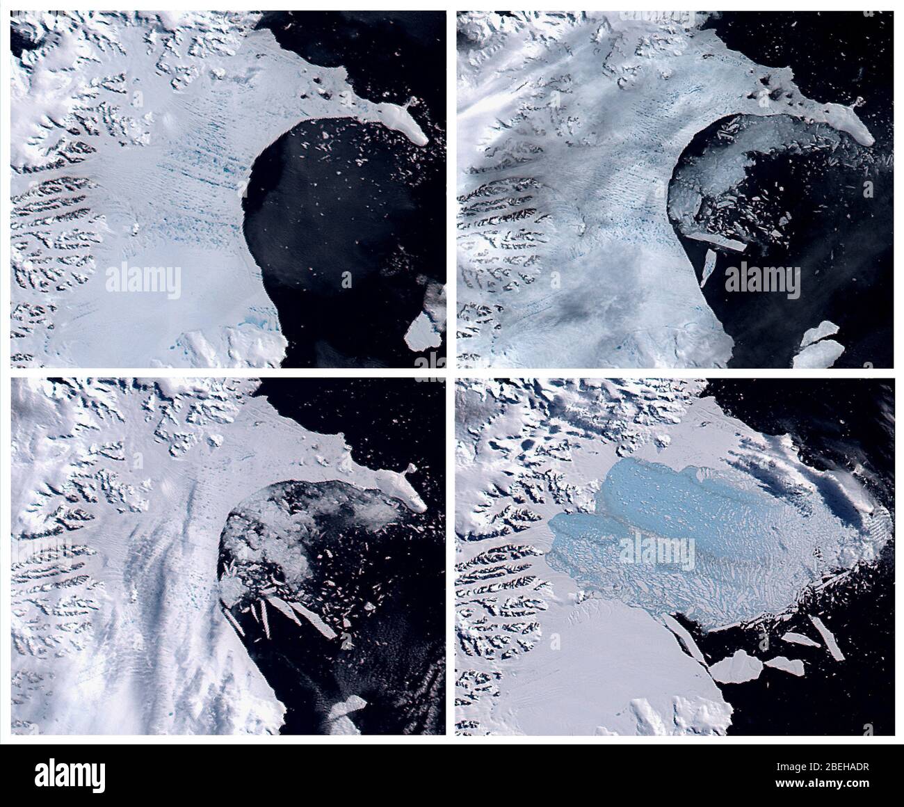 La prima delle cinque immagini a colori reali del crollo della piattaforma di ghiaccio Larsen B dell'Antartide nei mesi di gennaio, febbraio e marzo 2002, come registrato dal sensore satellitare MODIS della NASA. La prima immagine, dal gennaio 31, mostra lo scaffale in tarda estate australe con laghetti scuri blu melt puntando la sua superficie. Foto Stock