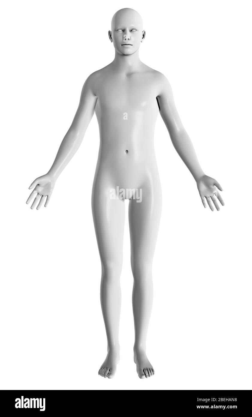 Posizione anatomica, corpo maschio Foto Stock