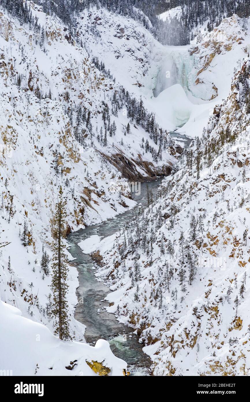 Cascate inferiori della Yellowstone durante l'inverno nel Parco Nazionale di Yellowstone Foto Stock