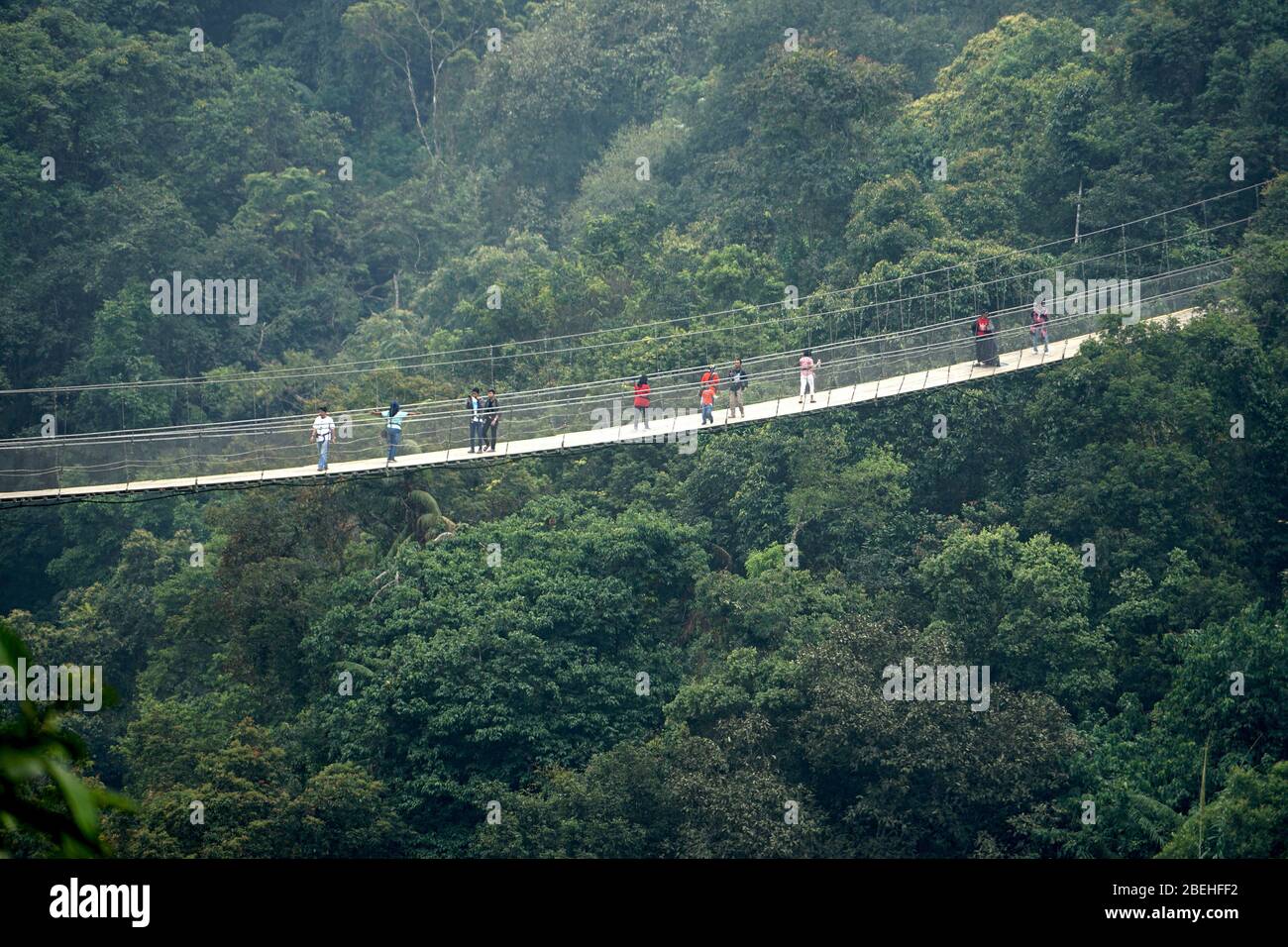 Ponte sospeso di Gunung in situ, Sukabumi, Giava Occidentale, Indonesia Foto Stock