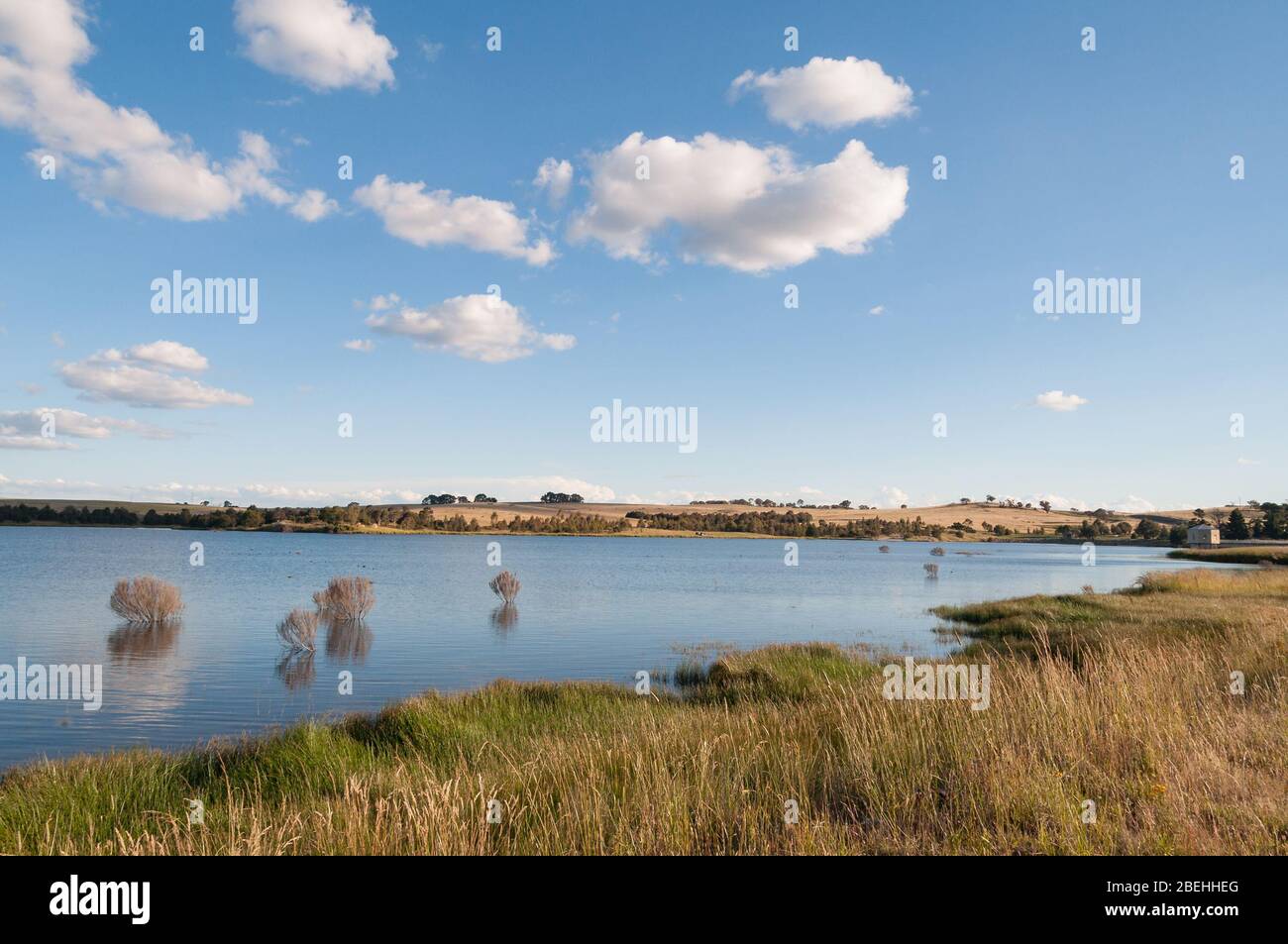 Natura paesaggio di acqua che allagano il pascolo e arbusto secco che emergono dall'acqua. Cambiamento climatico, riscaldamento globale e disastro ambientale di wat Foto Stock