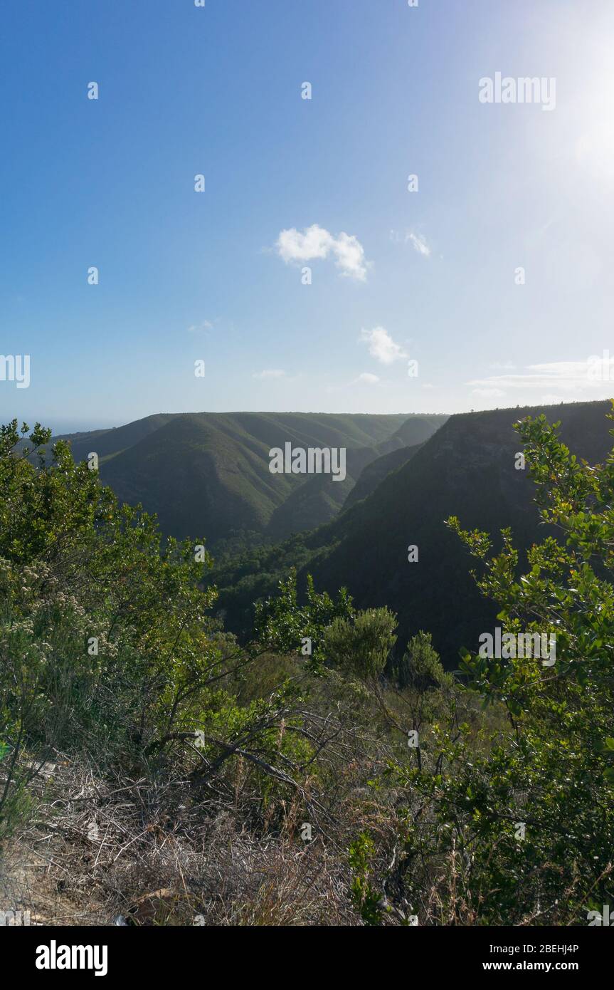 Pittoresco paesaggio di foreste coperte montagne nella valle di Natures, Sud Africa Foto Stock