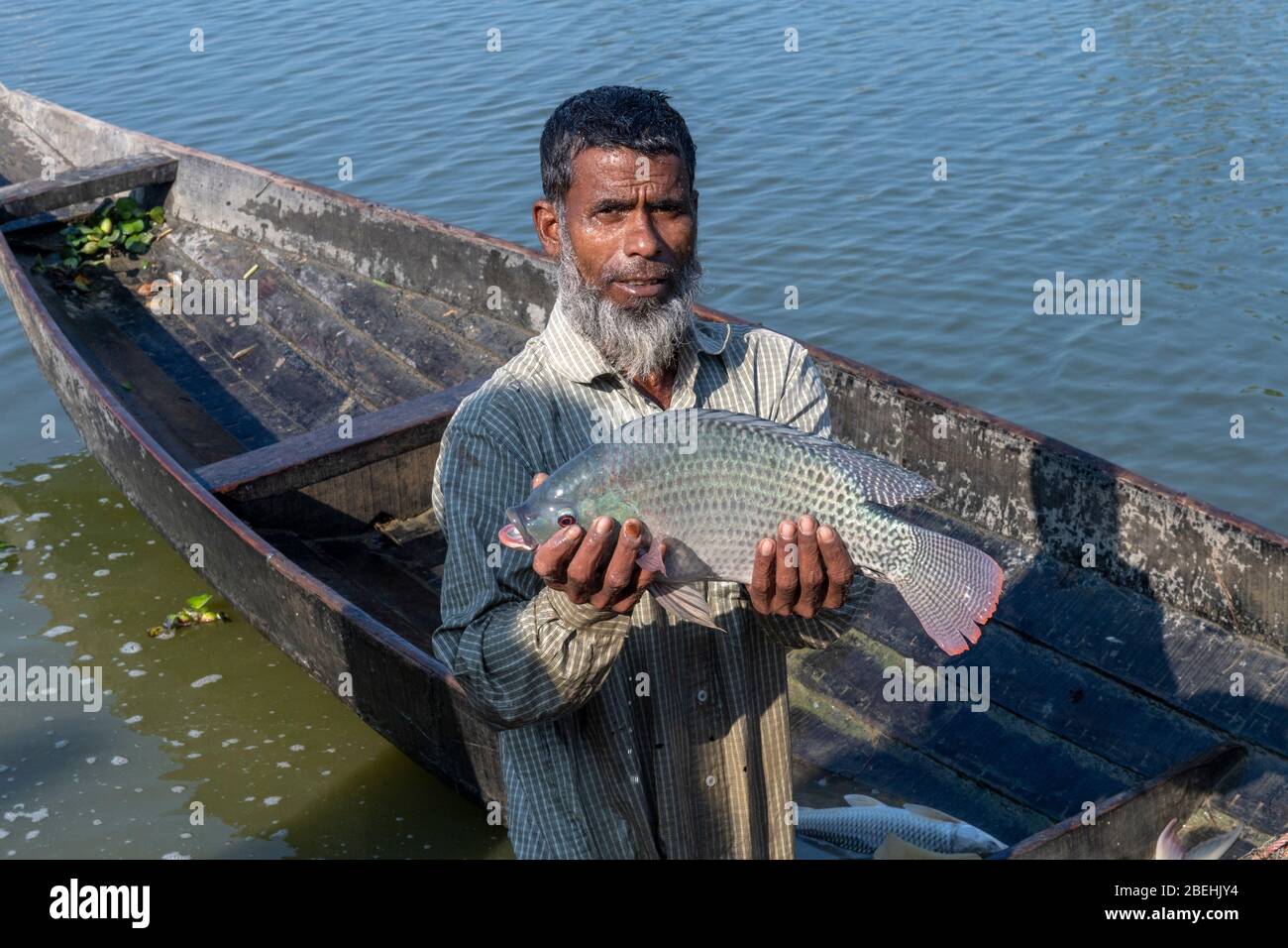 Pescatore che detiene pesce colorato catturato in una rete da un canale vicino Dhaka-Sylhet Highway, Sylhet, Bangladesh Foto Stock