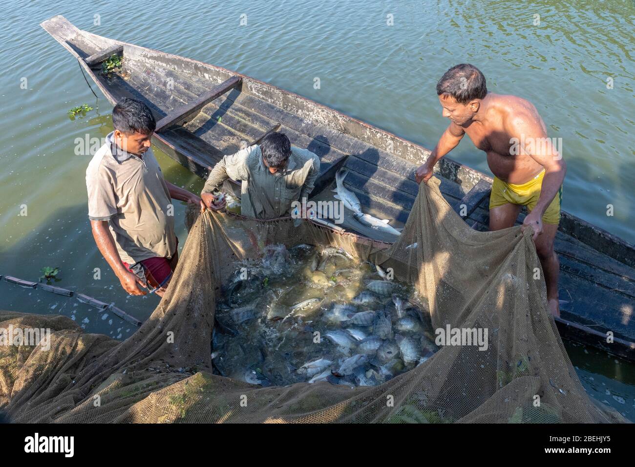 Pescatori che catturano pesci colorati in una rete da un canale vicino Dhaka-Sylhet Highway, Sylhet, Bangladesh Foto Stock
