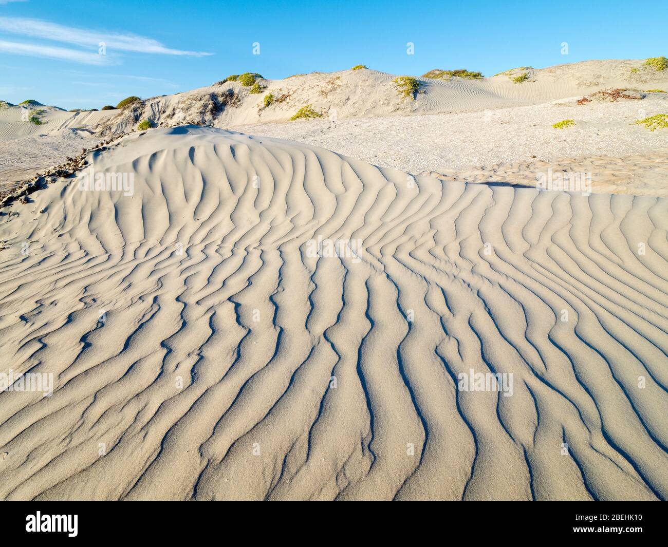 Modelli nelle dune a Sand Dollar Beach, Isola di Magdalena, Baja California sur, Messico. Foto Stock