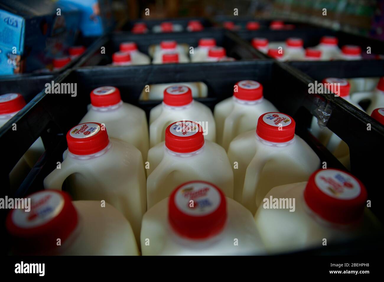 Ellettsville, Stati Uniti. 13 Aprile 2020. Il latte è uno degli articoli disponibili a Pantry 279, una dispensa di cibo per aiutare coloro che hanno sperimentato l'insicurezza alimentare durante il COVID-19/Coronavirus stay-at-home orderLe persone sono state ordinate solo per viaggiare per esigenze essenziali. Credit: SOPA Images Limited/Alamy Live News Foto Stock