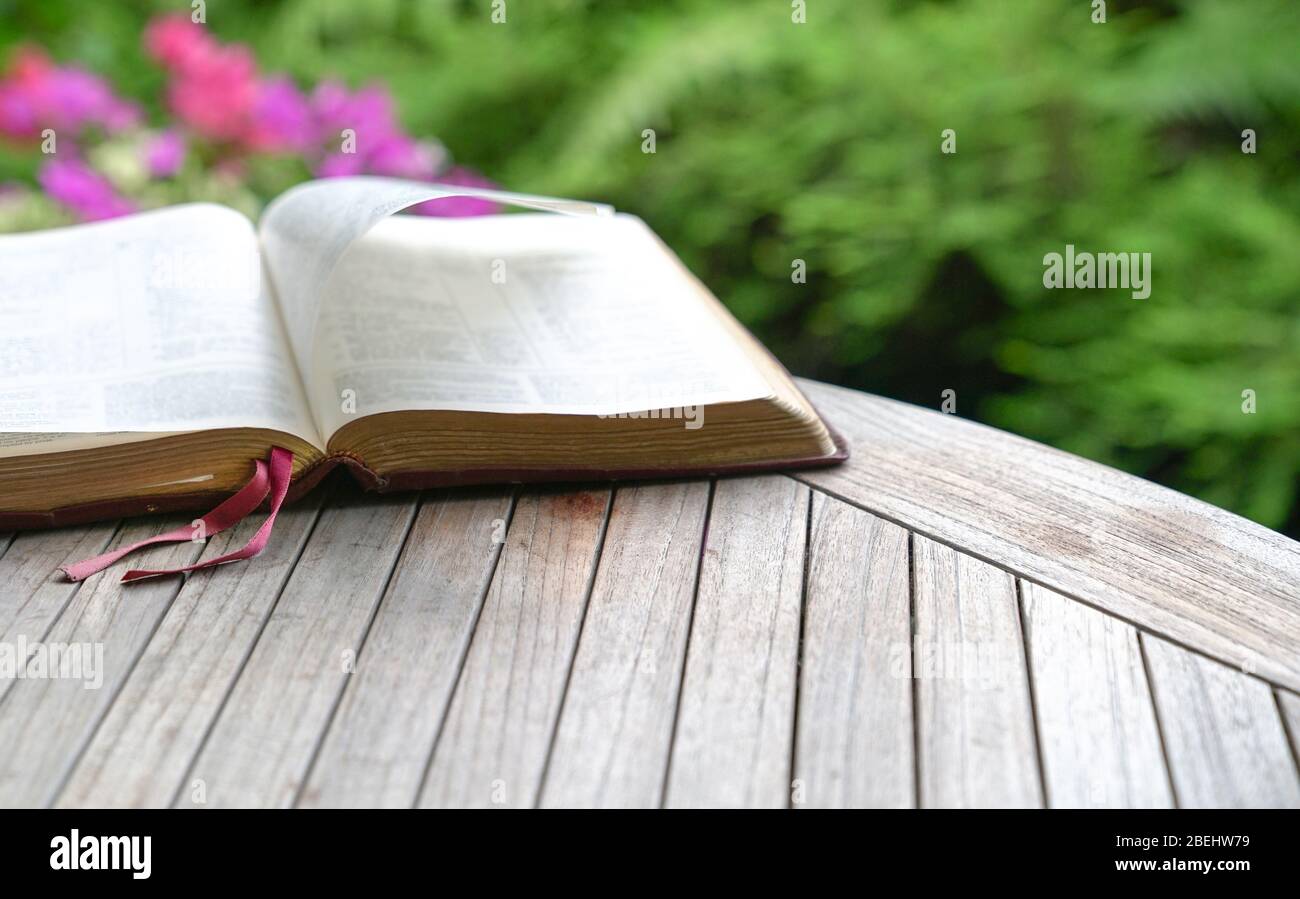 Aprire la bibbia su tavola di legno. Effetto di sfocatura morbida con messa a fuoco sul contrassegno del libro. Natura verde sullo sfondo. Foto Stock