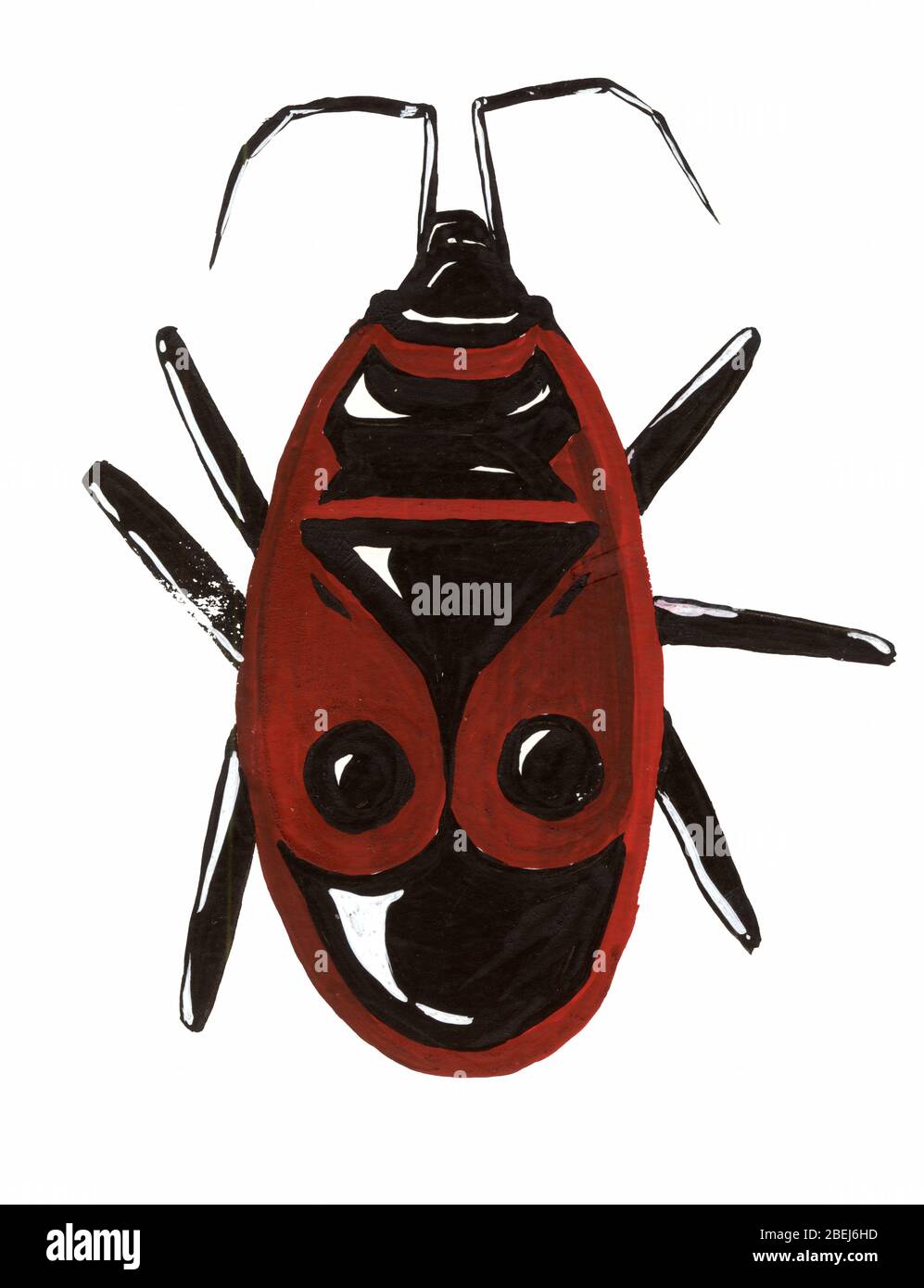 Illustrazione gouache di bug-soldato rosso (pirrhocoris apterus) dall'alto Foto Stock