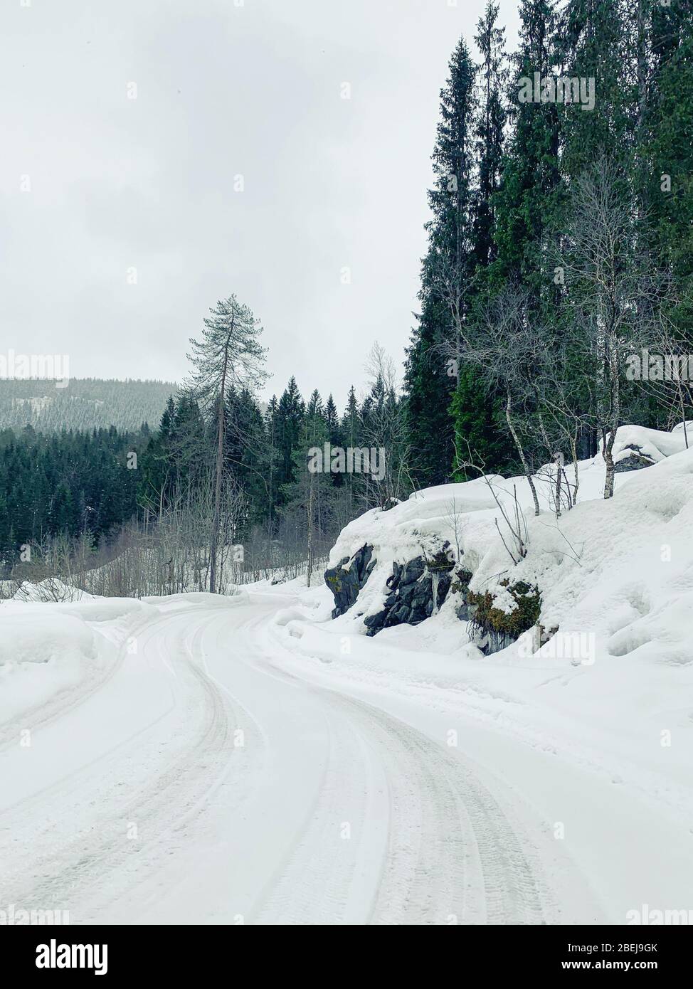 Strada innevata e foresta in Norvegia Foto Stock