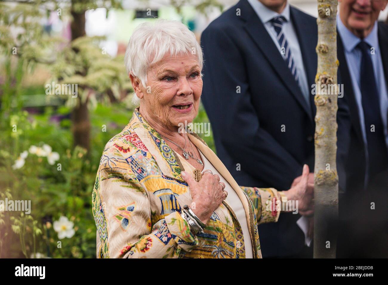 Londra, Regno Unito. Maggio 2019. Dame Judi Dench partecipa al giorno di apertura del Chelsea Flower Show 2019. Foto Stock