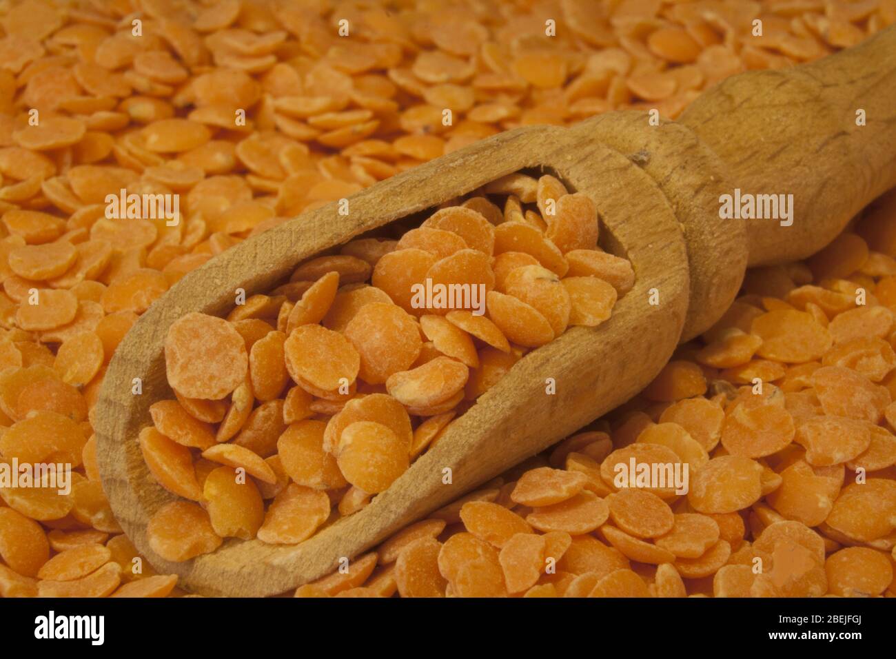 Granelli di lenticchie rosse come aggiunta ideale alle minestre e a molti altri piatti adagiati su un cucchiaio di legno, in primo piano. Foto Stock