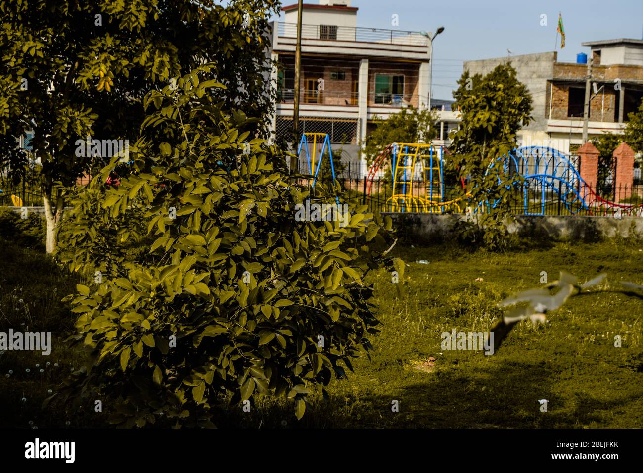 Belle foto naturali rilassanti Foto Stock