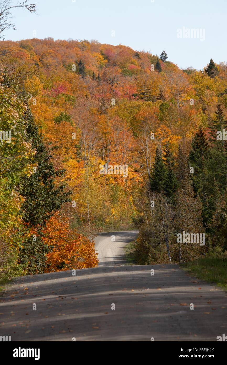 Strada di campagna nel Maine con fogliame di caduta Foto Stock