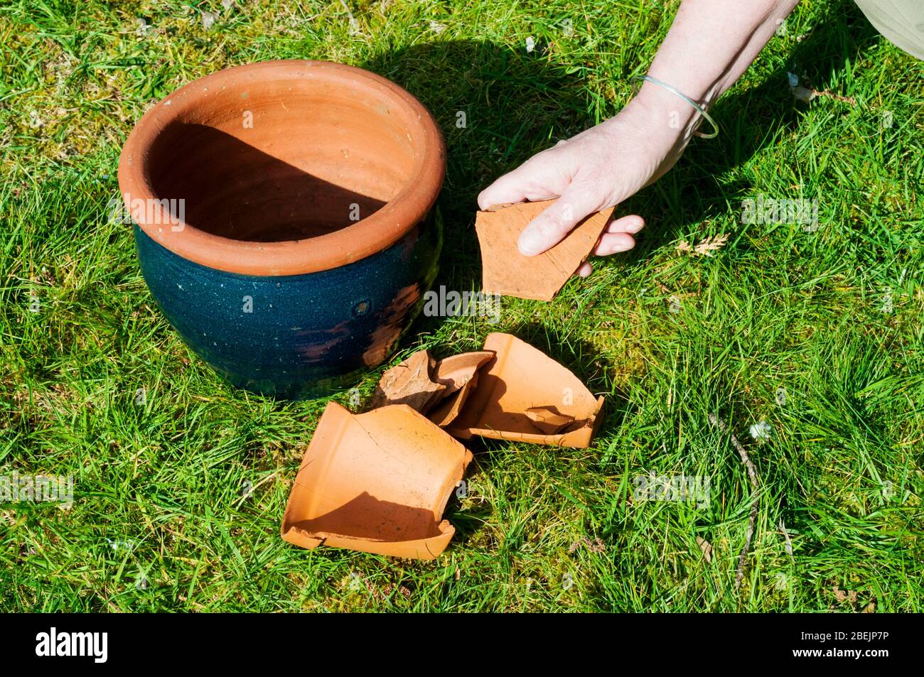 Donna che seleziona le pentole rotte o i crocks per mettere nel fondo di un vaso di fiore prima di piantare in esso come aiuto a drenaggio. Foto Stock