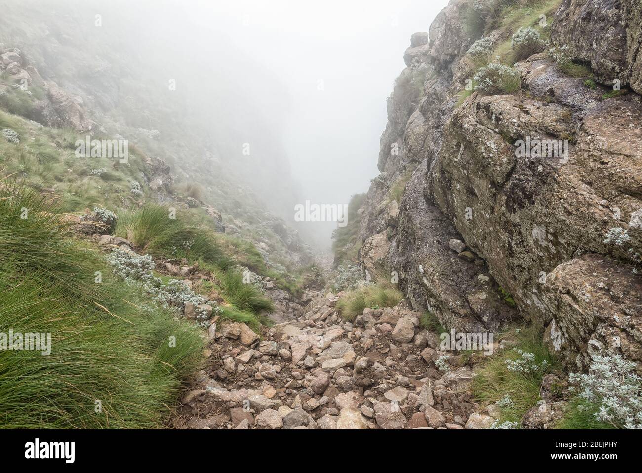 Il Sentinel Gully, la strada alternativa per la cima dell'Anfiteatro nel Drakensberg Foto Stock