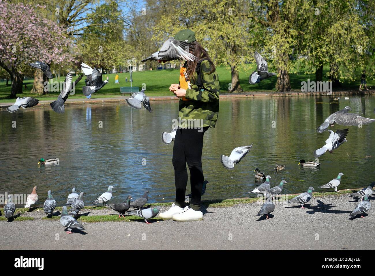 I piccioni volano intorno ad una donna che sta nutrendo gli uccelli al St George's Park, Bristol, nel freddo, ma sole tempo di primavera. Foto Stock