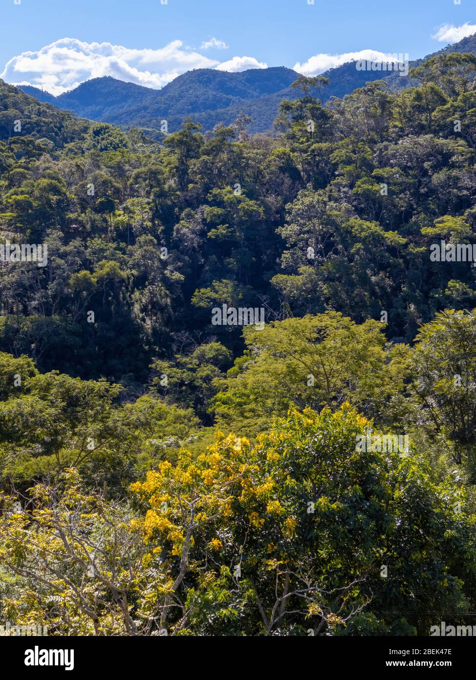 Vista generale della collina coperta dalla vegetazione della foresta atlantica, Areal, Rio de Janeiro, Brasile Foto Stock