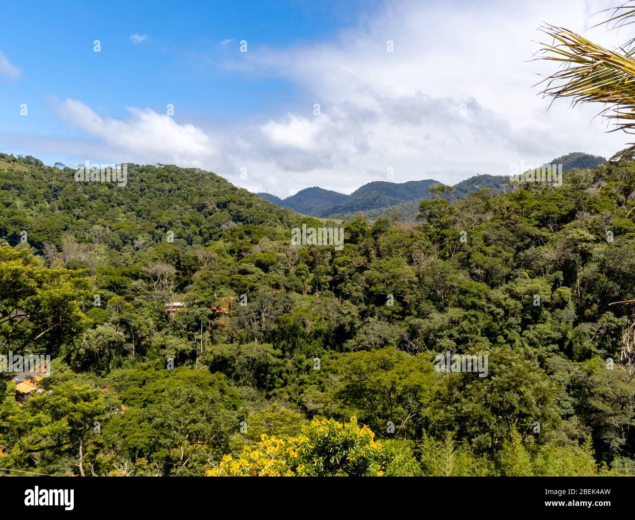 Vista generale della collina coperta dalla vegetazione della foresta atlantica, Areal, Rio de Janeiro, Brasile Foto Stock